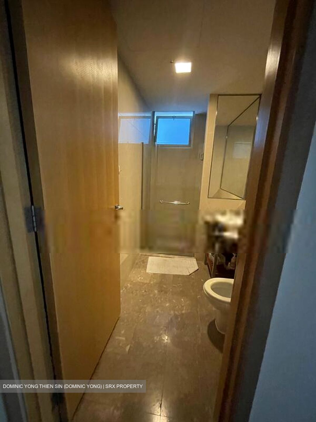 Cairnhill Crest (D9), Condominium #563589161